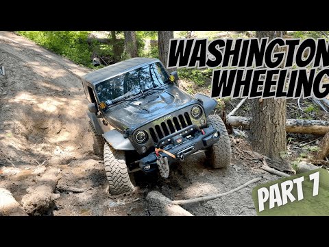 Видео: Вашингтон на колёсах, часть 7 #pnw #ползание #бездорожье