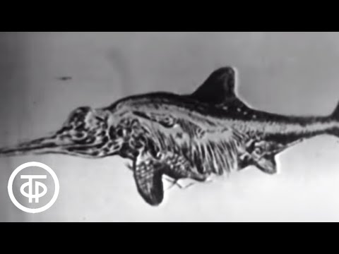 Видео: Происхождение жизни на Земле. Теория Опарина (1962)