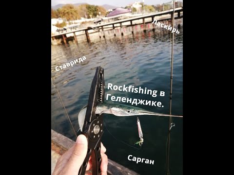 Видео: Rockfishing в Геленджике. Сарган, Ставрида, Ласкирь.