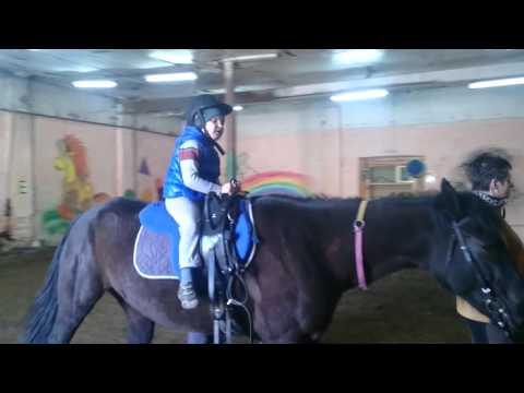Видео: Иппотерапия для детей с РАС.