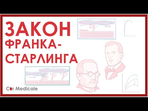 Видео: Закон/механизм Франка-Старлинга - физиология сердечно-сосудистой системы