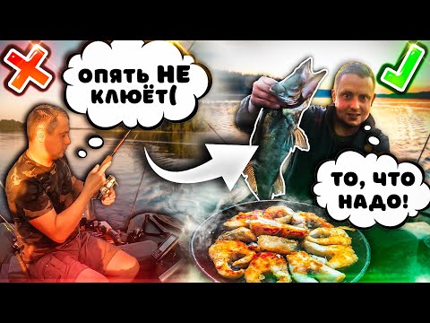 Видео: Бешеный клёв рыбы // Рыба сама запрыгивает в лодку