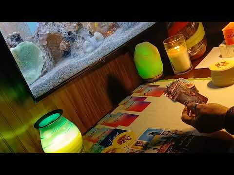 Видео: Лео 🧡Перестал спать с кем попало 🧐Возможно, займётся спортом 👑🔮Семья и друзья заметили, что он бу...