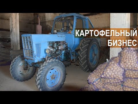 Видео: Картофельный бизнес Валерия Пряничникова