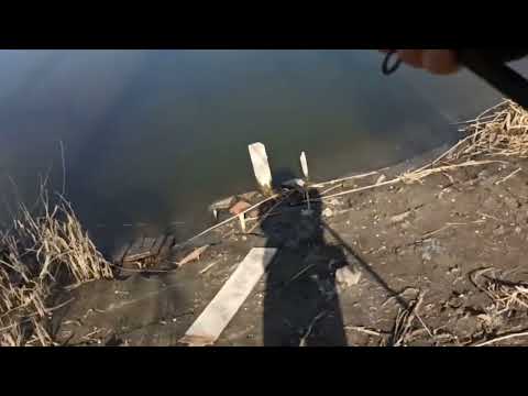 Видео: Март 24.03.2025 года.Река Аксай.Ст.Мишкинская