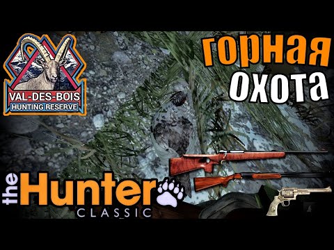 Видео: Трофеи Бегали Под Ногами The Hunter Classic