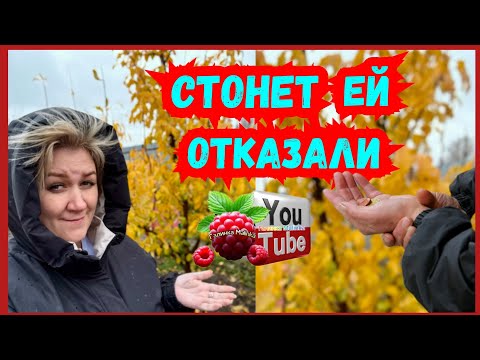 Видео: Деревенский дневник /Стонет /Леле отказали /Обзор /Мать-героиня /Леля Побируха /Быкова 