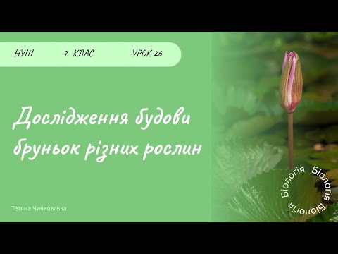 Видео: Дослідження будови бруньок різних рослин