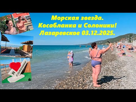 Видео: Морская звезда, Касабланка  и Солоники! Лазаревское 03.10.2025. Лето продолжается!