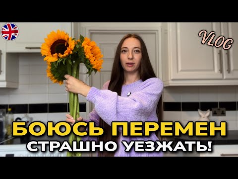Видео: Школьные сборы и кухня. Почему я боюсь переезда? 