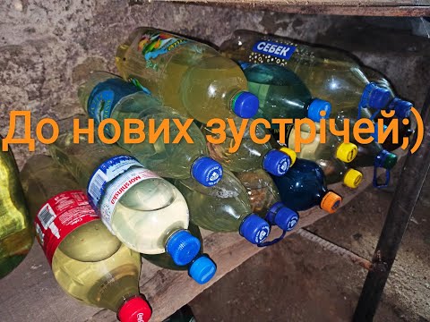 Видео: Домашнє шампанське із цвіту бузини. Домашнее шампанское из цветков бузины