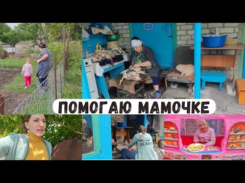 Видео: Помогаю маме - ощипываем кур/ На огороде у соседей хозяйничаем