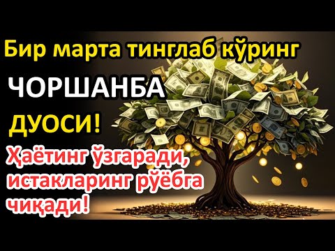 Видео: ЧОРШАНБА куни Пайғамбар Муҳаммад ﷺ дуоси, инша Аллоҳ, омонлик, бойлик ва муваффақият келтиради