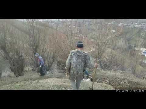 Видео: Д.пилдони миёна