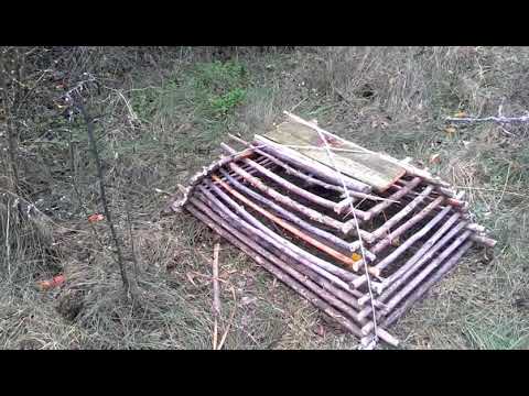 Видео: Супер ловушка на ФАЗАНОВ