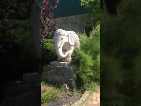 Видео: Обзорная экскурсия по Тайган-парку, встреча с Олегом Зубковым, июль 2025