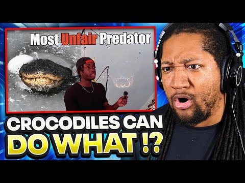 Видео: Самый страшный хищник всех времен (Casual Geographic) | Реакция!