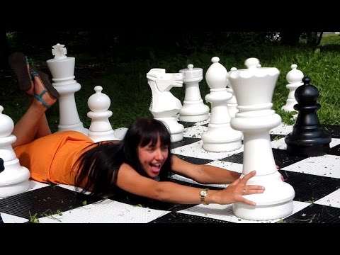 Видео: Охота на лис или Шахматы на бегу