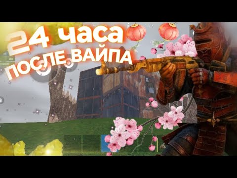 Видео: 24 ЧАСА ПОСЛЕ ВАЙПА В НОВОМ БЕЗУМНОМ ОБНОВЛЕНИЕ! ❤️🔥Выживание с нуля. 