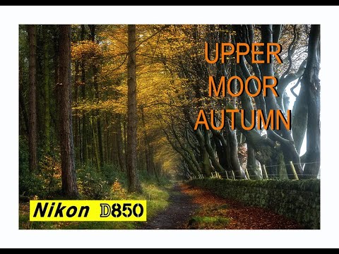 Видео: ПРОГУЛКА ОСЕНЬЮ. АППЕР-МУР, ДЕРБИШИР. #осень #осенниецвета #леснойместность #пейзаж #nikond850