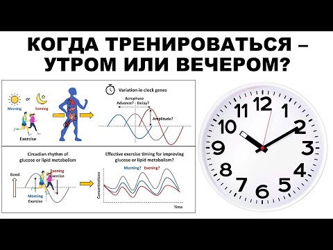 Видео: лекция: КОГДА ТРЕНИРОВАТЬСЯ – УТРОМ ИЛИ ВЕЧЕРОМ?