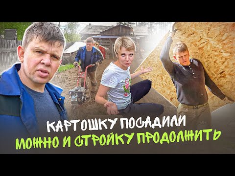Видео: Картошку посадили  можно и стройку продолжить