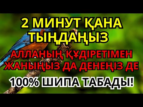 Видео: 2 минутта Алланың күшімен 100% шипа беретін дұға!