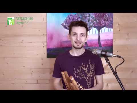 Видео: Как выбрать флейту Свирель