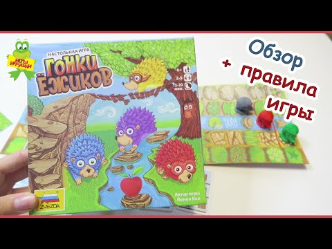 Видео: Настольная игра ZVEZDA "Гонки ёжиков", обзор и ПРАВИЛА игры