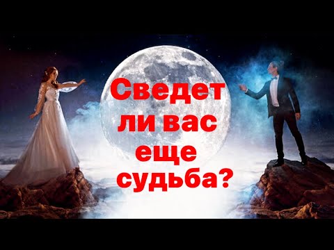 Видео: Сведет ли вас еще судьба?♥️