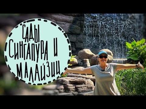Видео: #8☘️Приглашаю посетить сады Сингапура и Малайзии. ☘️Учимся думать формами и красками.