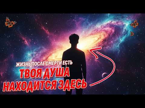 Видео: Душа находится в этом органе - Сенсационное открытие о Жизни после смерти