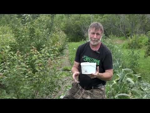 Видео: Зеленый сад фильм № 378 "Картофель.Огурцы.Абрикос.Земляника" 23.07.22г. г. Хабаровск zeleniisad.ru