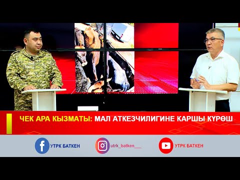 Видео: ЧЕК АРА КЫЗМАТЫ: МАЛ АТКЕЗЧИЛИГИНЕ КАРШЫ КҮРӨШ