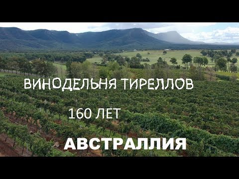 Видео: Самая старая винодельня Австралии. Семейство Тирелли