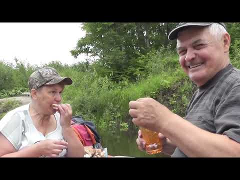 Видео: Сплав - отдых - рыбалка на р.Б.Кокшага июль 2022г (часть 1)