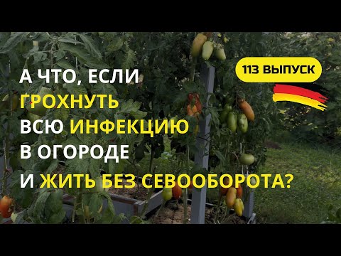 Видео: Дача в Германии Грядки без севооборота? А болезни, вредители? Все сожрут, а что не успеют, то сгниет