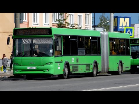 Видео: Бабруйск, аўтобус МАЗ-105 №272, маршрут 5д (31.03.2024)