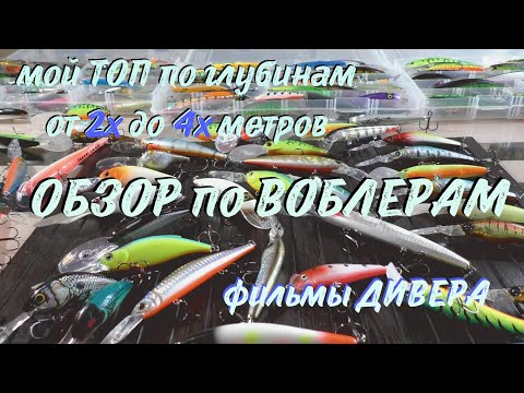 Видео: ДИВЕР - МОЙ ТОП ЛУЧШИХ - по глубинам 2-4 метра! ОБЗОР ВОБЛЕРОВ, фильмы ДИВЕРА