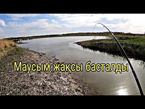 Видео: АҚСЫЛА, ШОРТАН. РАЗВЕДКА ЖАҚСЫ БОЛДЫ. МАУСЫМ АШАР