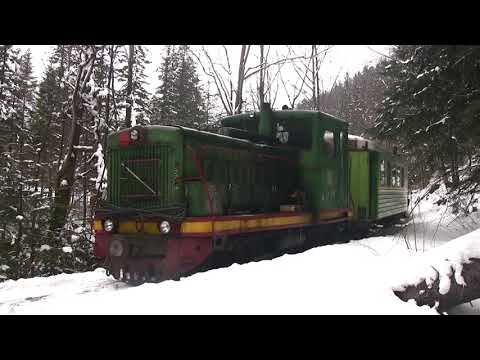 Видео: Narrow gauge railway in Vyhoda/ Вигодська вузькоколійка, тепловоз ТУ4