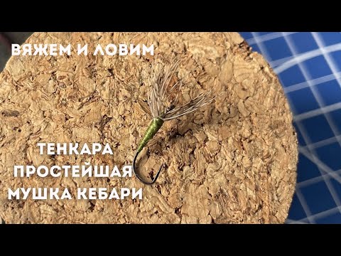 Видео: ТЕНКАРА / Вяжем и ловим / Простейшая мушка кебари #118