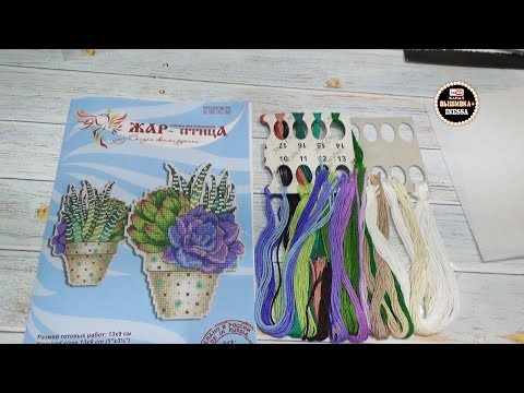 Видео: Новинки от фирмы "Жар-птица" Магниты Кактусы. Вышивка на пластиковой канве.