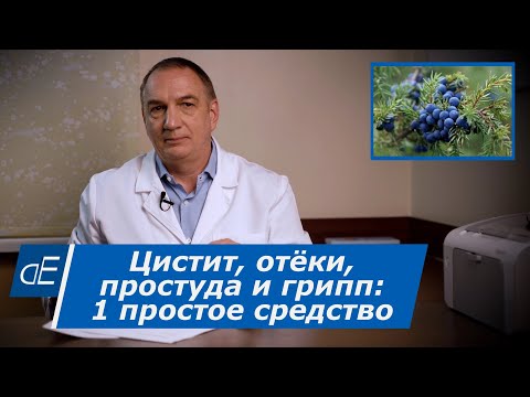 Видео: Как лечить: Цистит / Отёки / Вирусы, Простуда / Грипп - 1 простое средство:  Плоды Можжевельника.