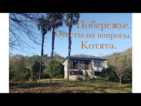 Видео: Купила дом в Грузии. Ответы на вопросы.