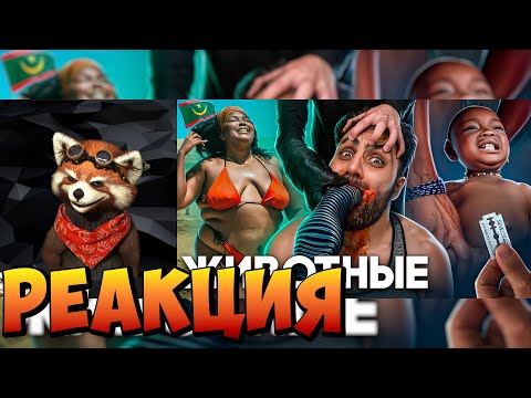 Видео: Мавритания - Королевство Рабов | реакция RED Пандыч | @tonytut