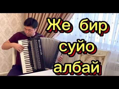 Видео: Аккордеон Караоке. Бакырайынбы