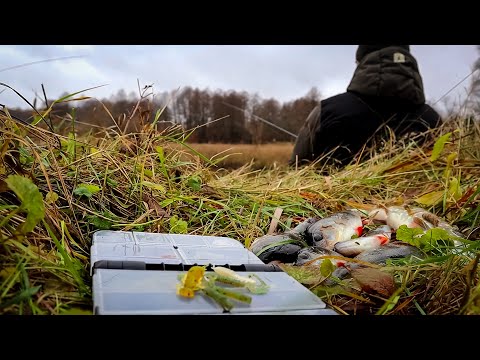 Видео: Наполегливість-Девіз цієї Риболовлі.Як Наловити мішок хижака коли НЕМАЄ КЛЬОВУ?Спінінг в Листопаді