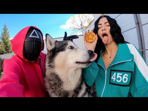 Видео: ВПЕРВЫЕ ХАСКИ и ИГРА В КАЛЬМАРА В РЕАЛЬНОЙ ЖИЗНИ