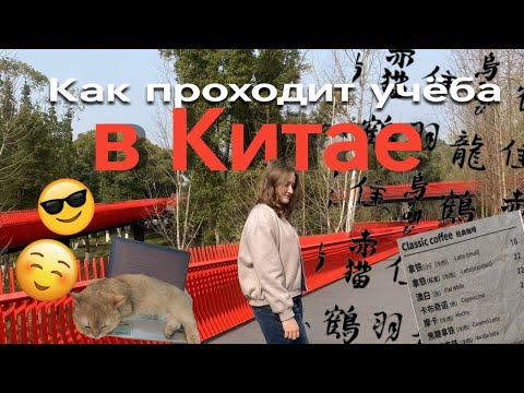Видео: Я учусь в Китае уже пол года / как проходит учёба? мои успехи и планы на будущее🇨🇳✍️
